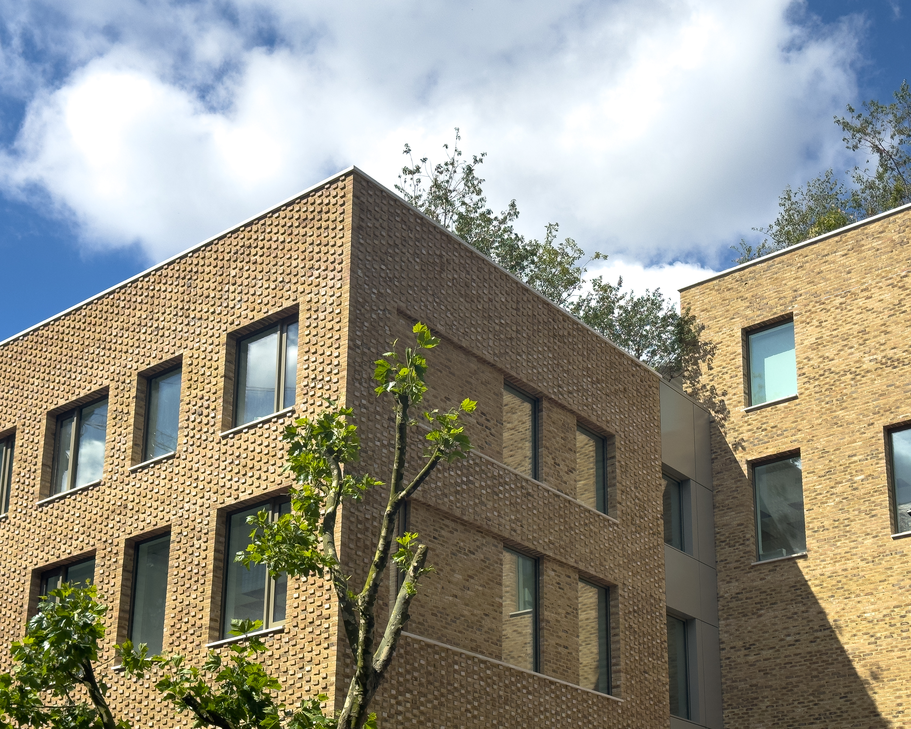 Mulberry, London Dock School - Facing Bricks