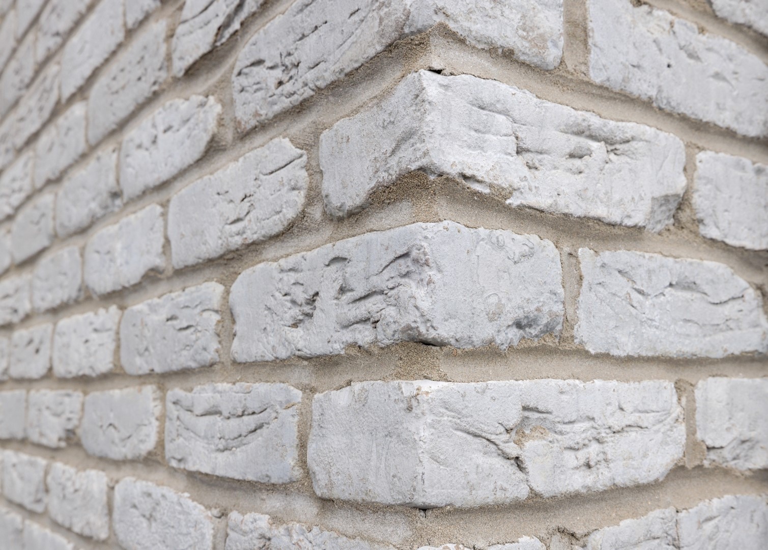 Melyn Close 10 Large