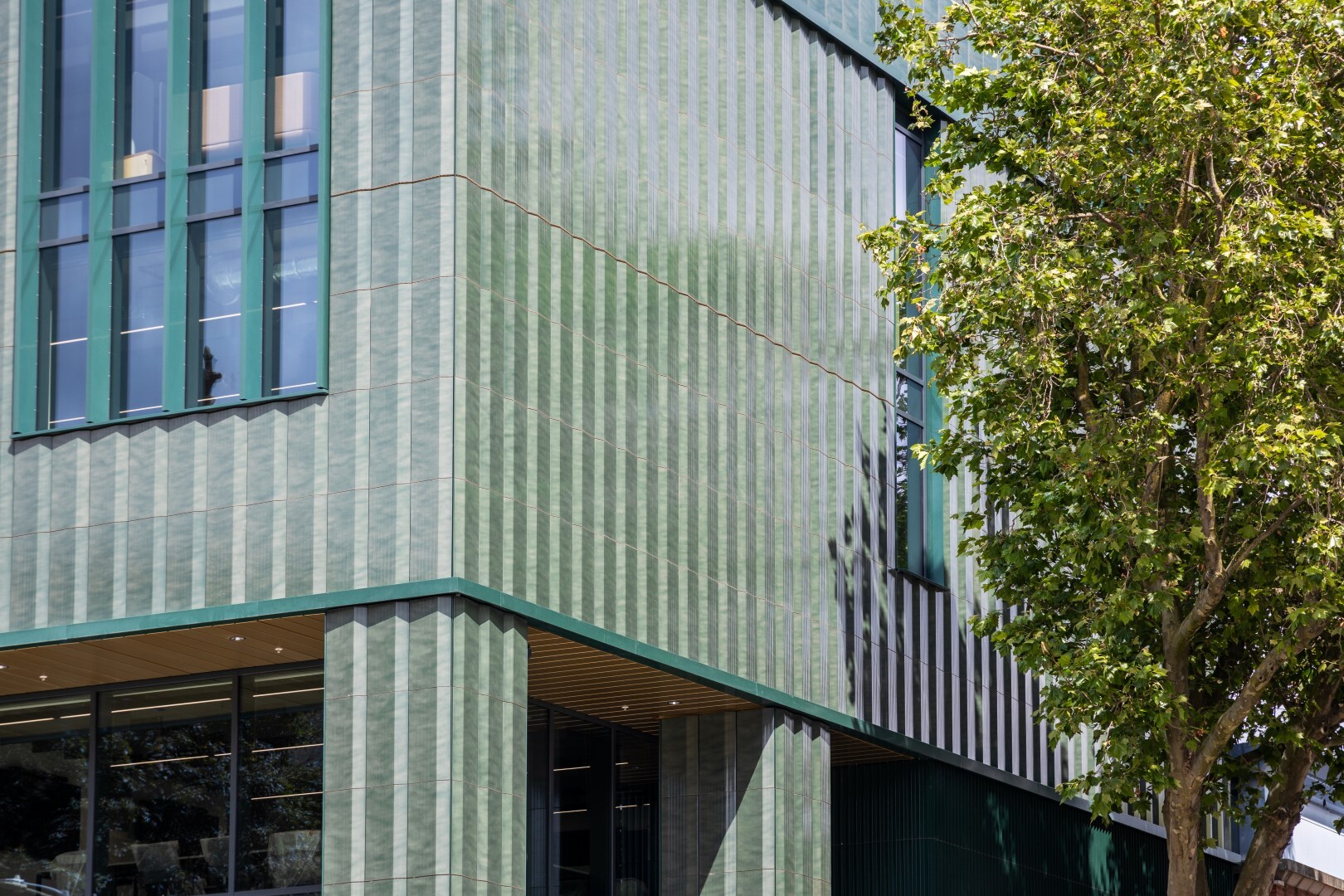 Nottingham Trent University 3 Large