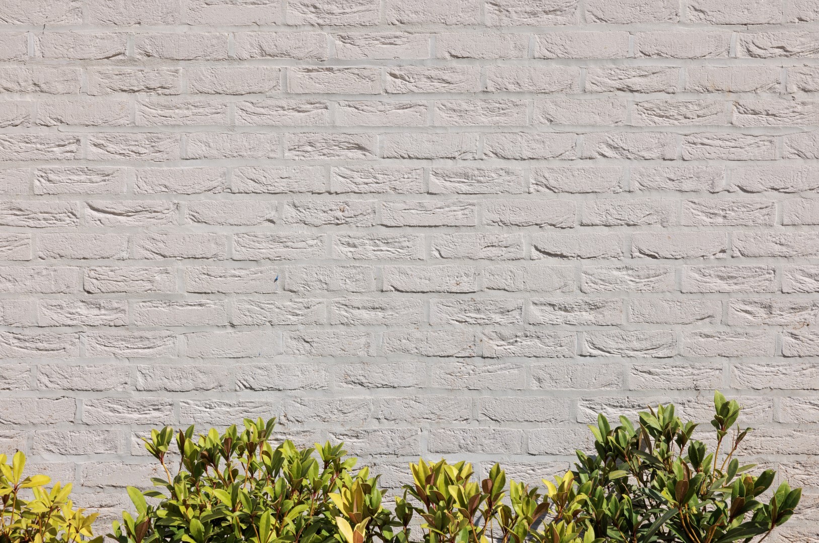 Oasis Academy Silvertown - Facing Brick