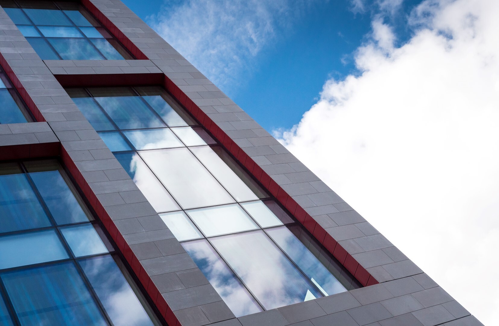 One New Bailey 12 Large