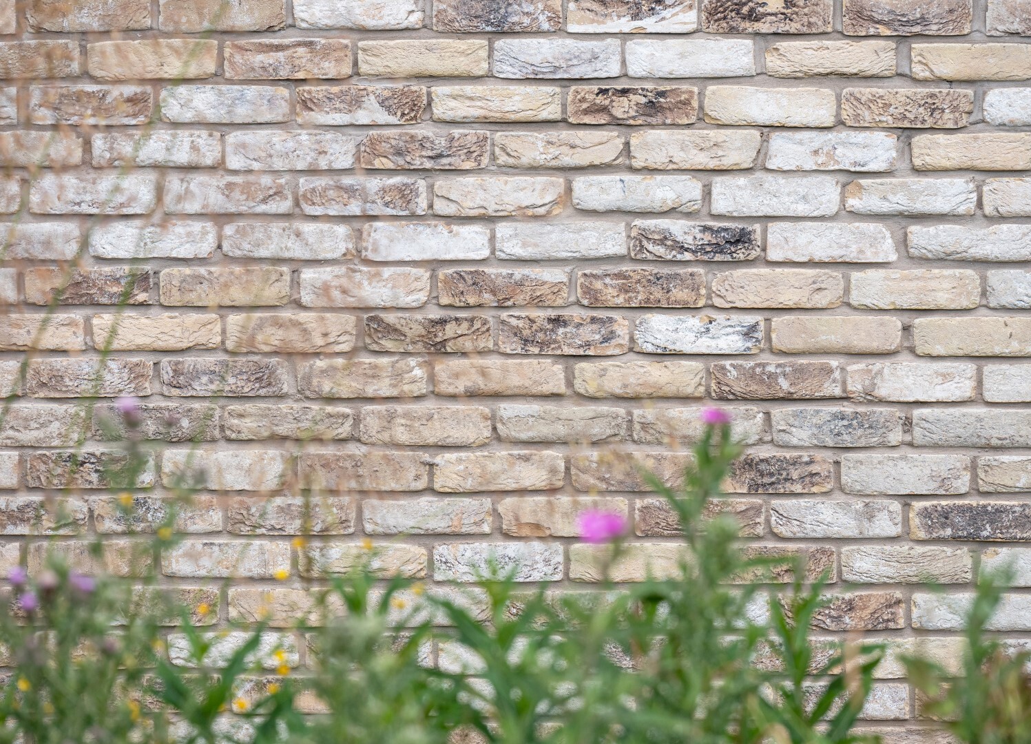 Unsworth Park - Facing Brick