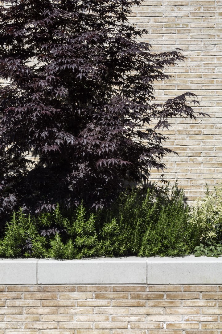 PPWH2 0619 0056 Large