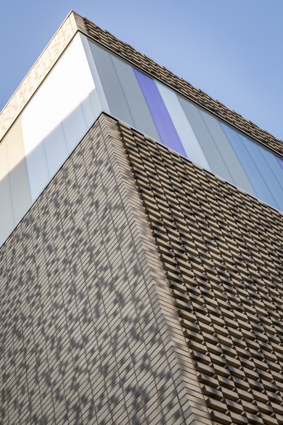 Paxton School 069 Large