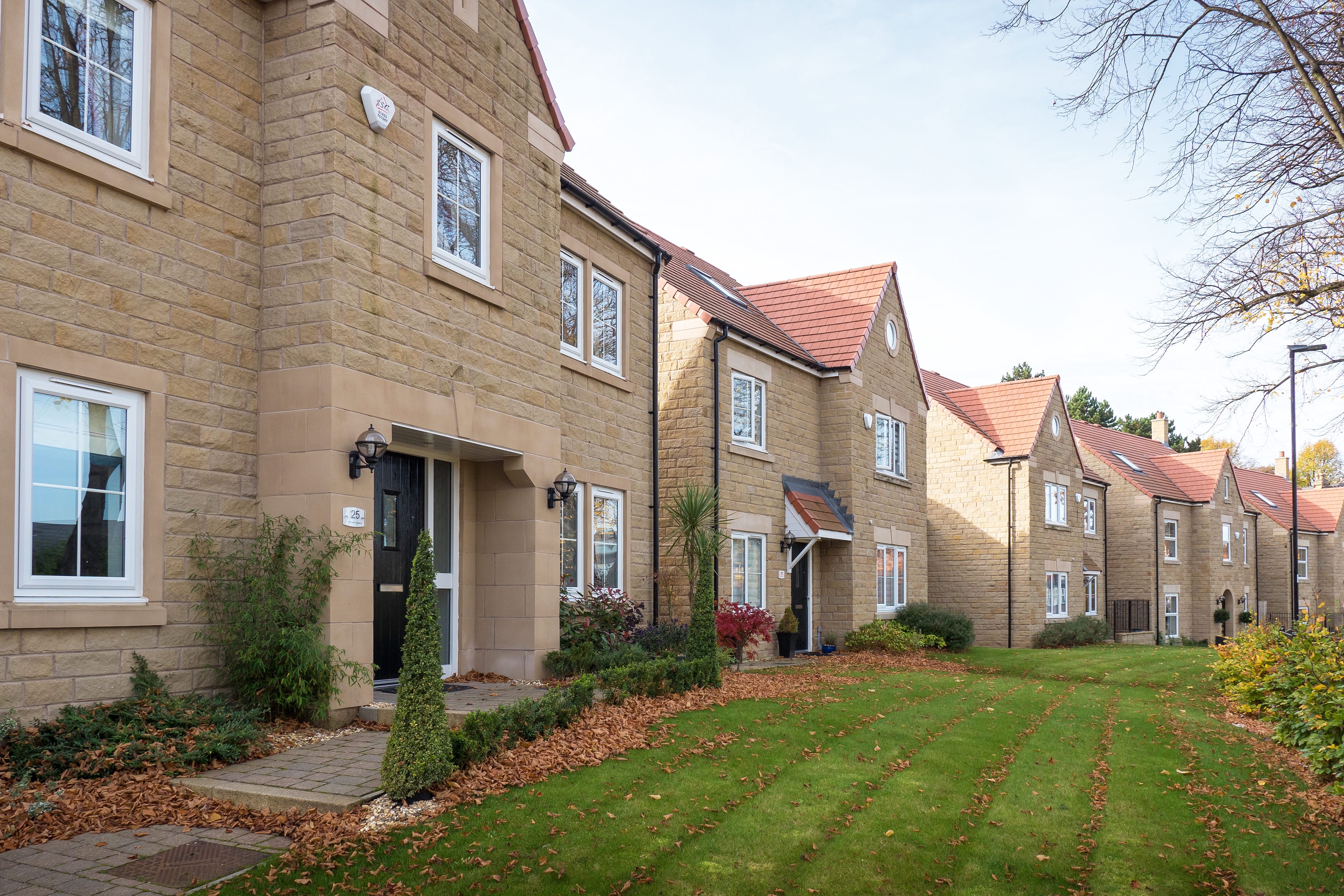 Psalter Lane Sheffield 10