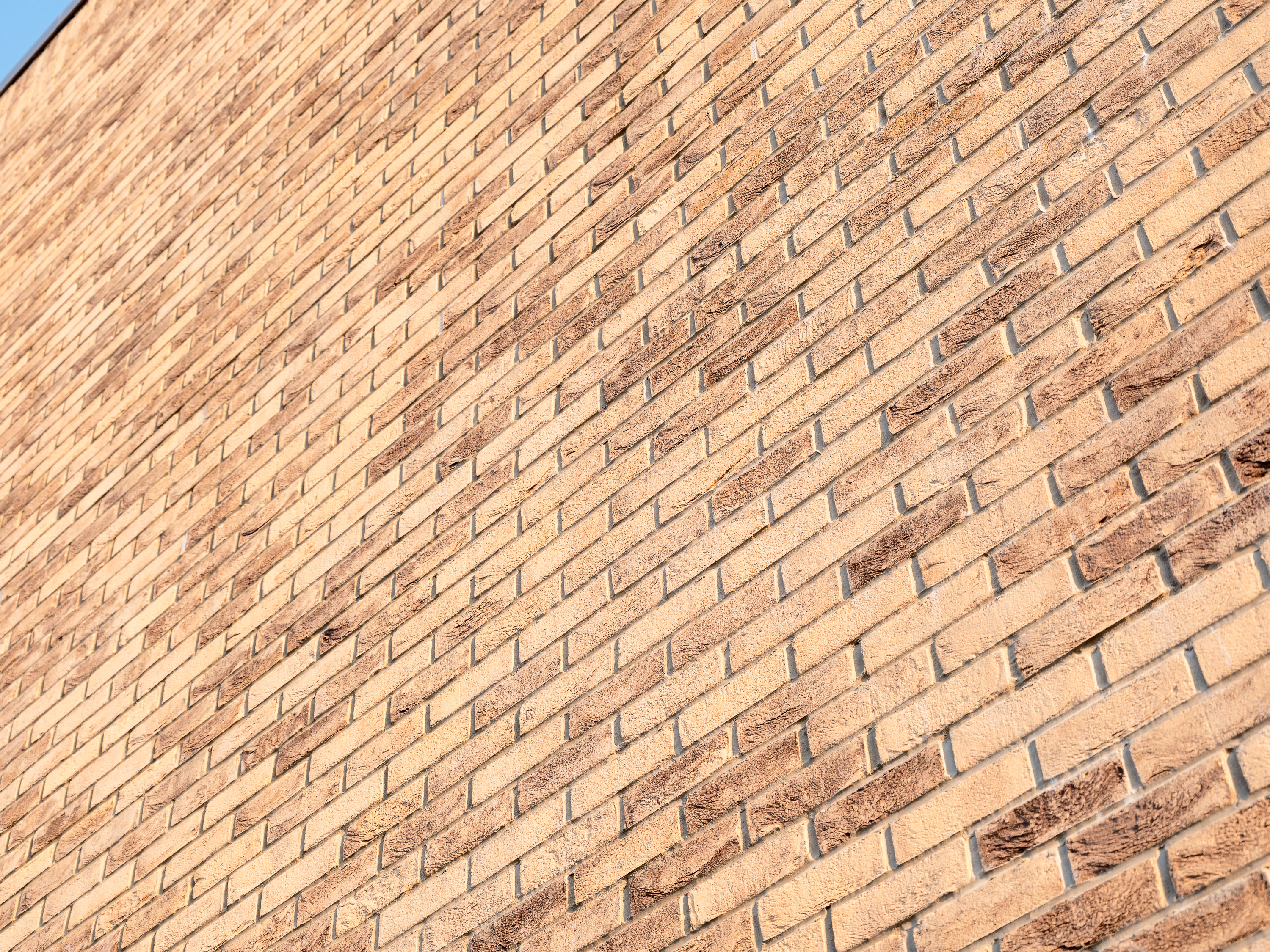 Jordanhill Park - Solus Range and Facing Bricks