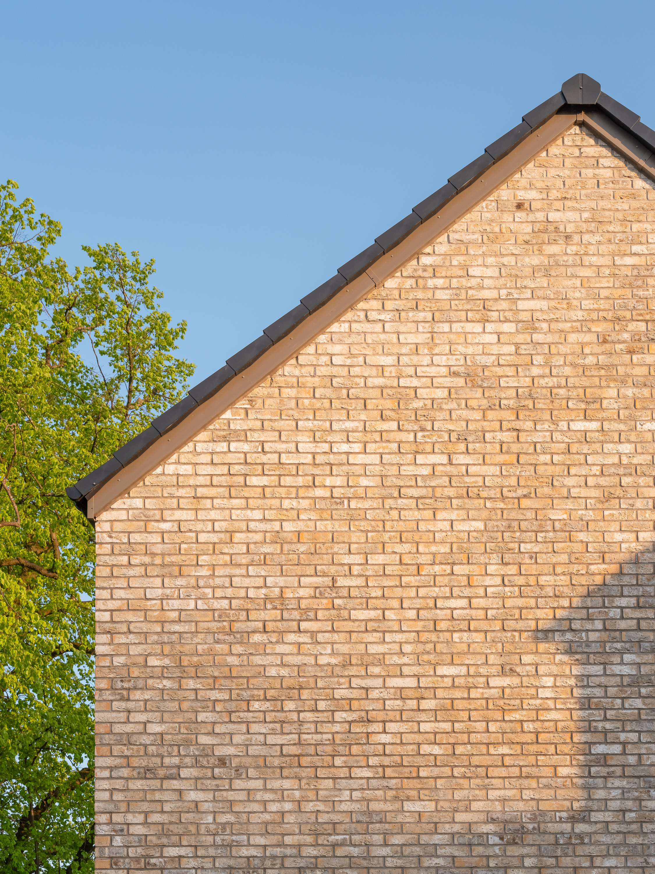 Jordanhill Park - Solus Range and Facing Bricks
