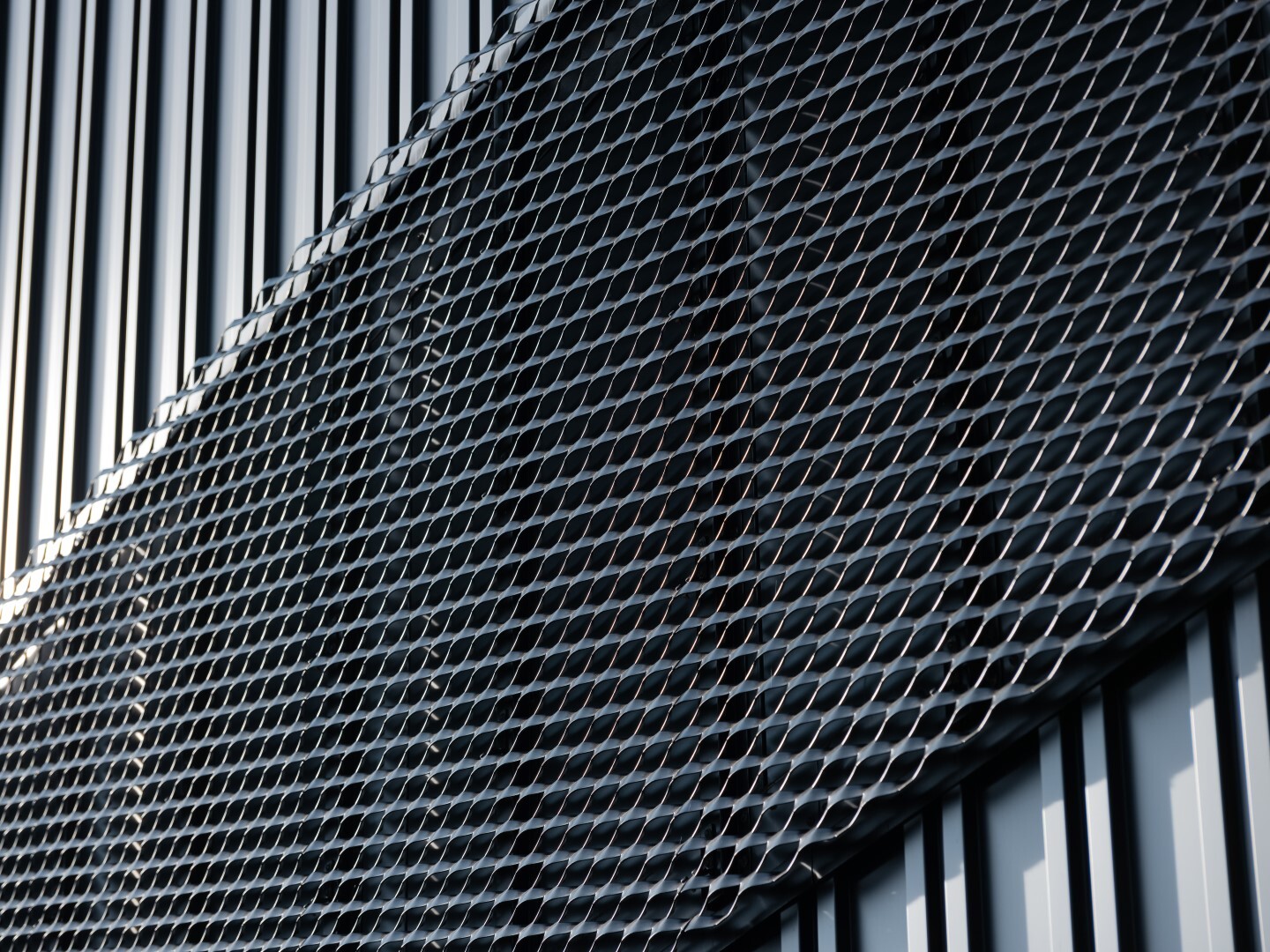 RFP TM 6000px 3251 Large