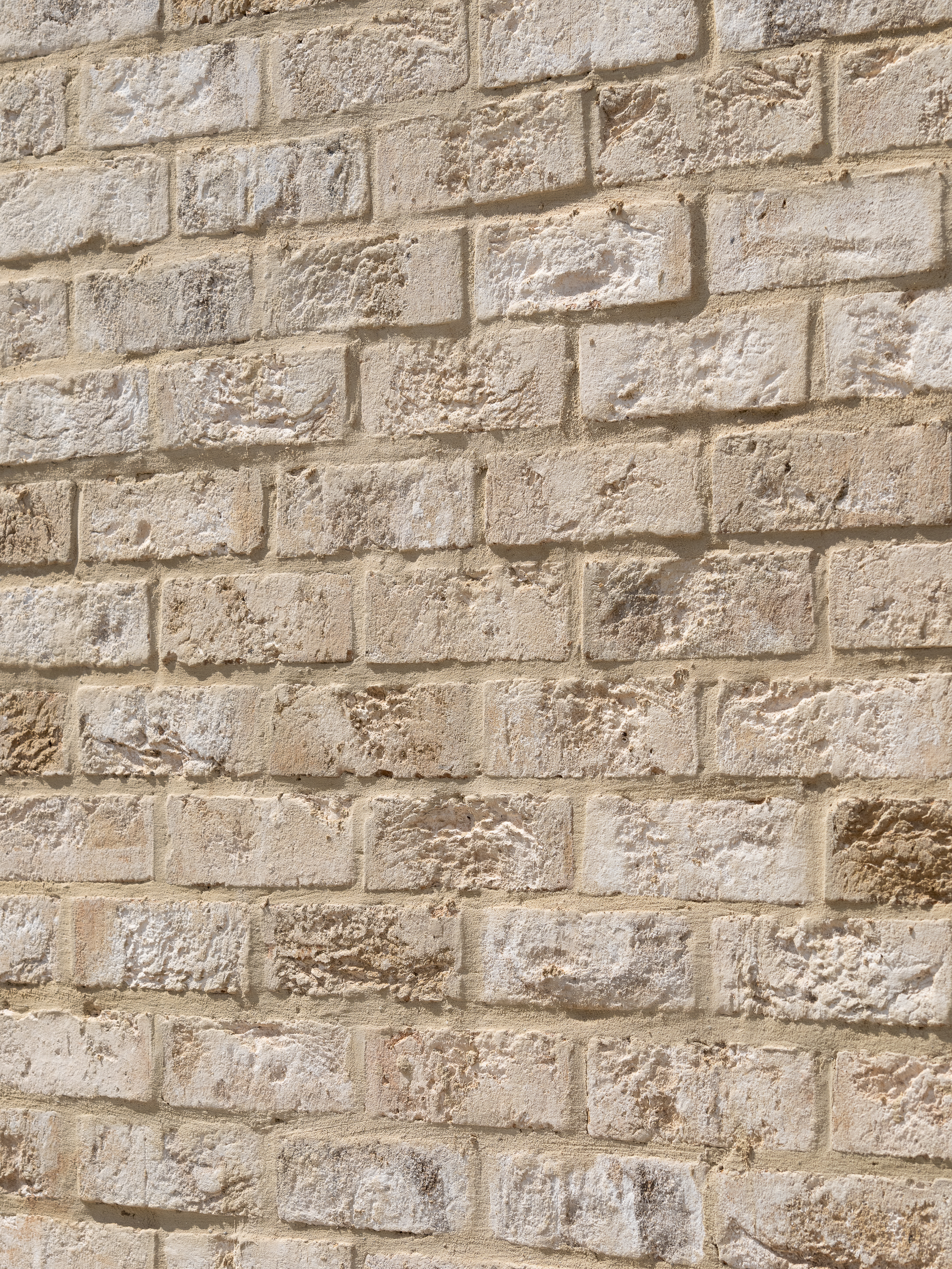 RFP TM S 3000px 1493