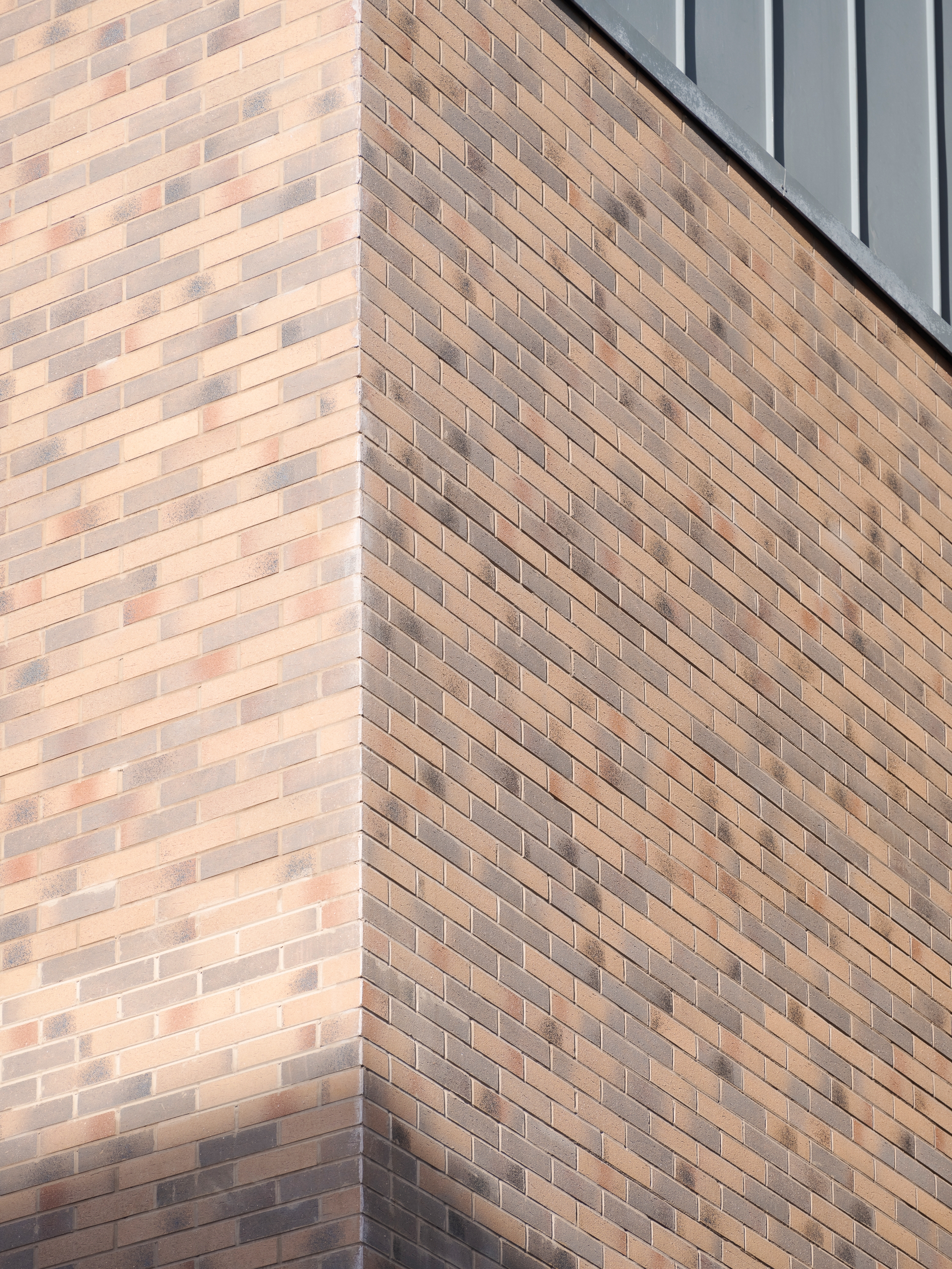 Richard Fraser for web use 3730