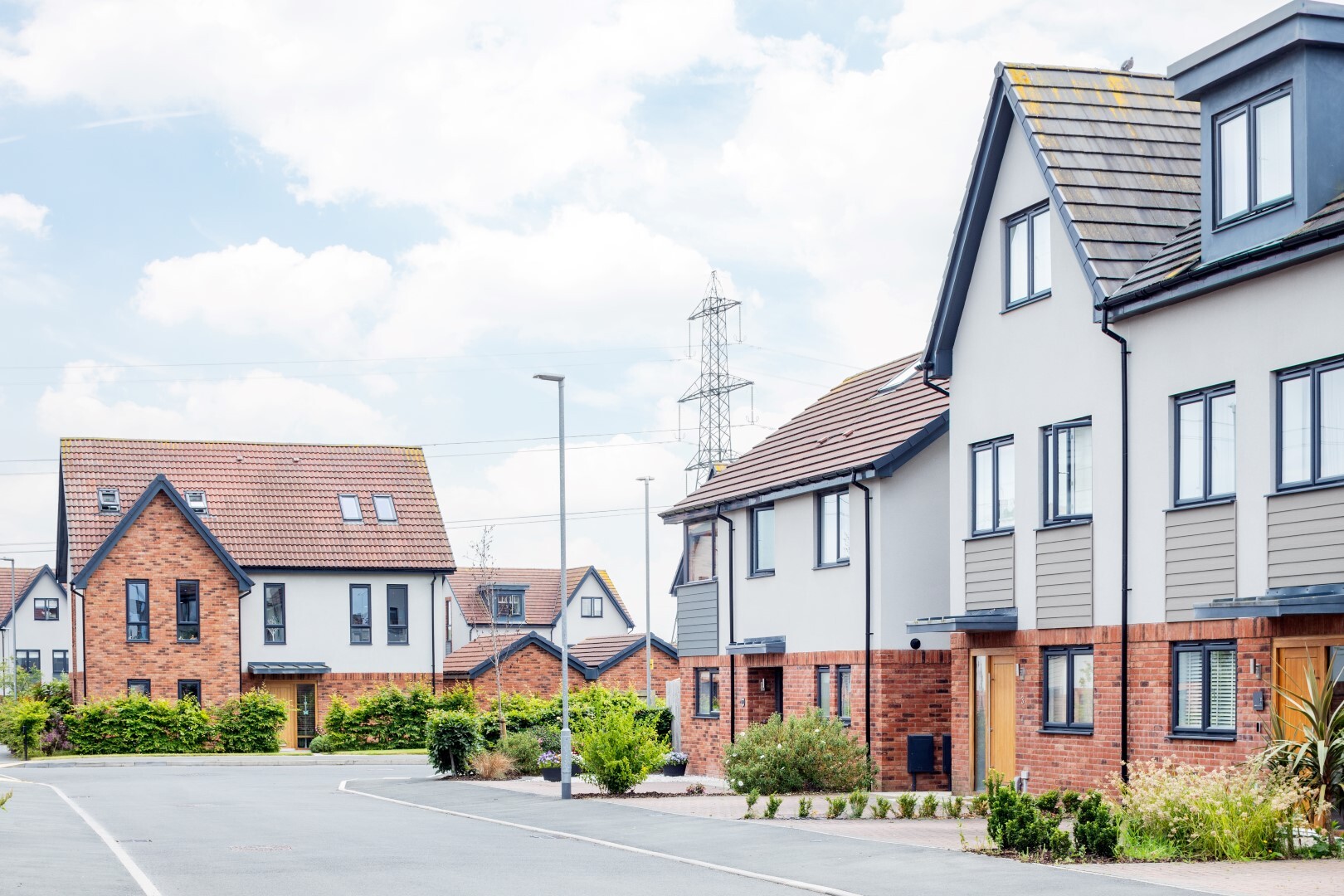 Rufford Pastures 11 Large