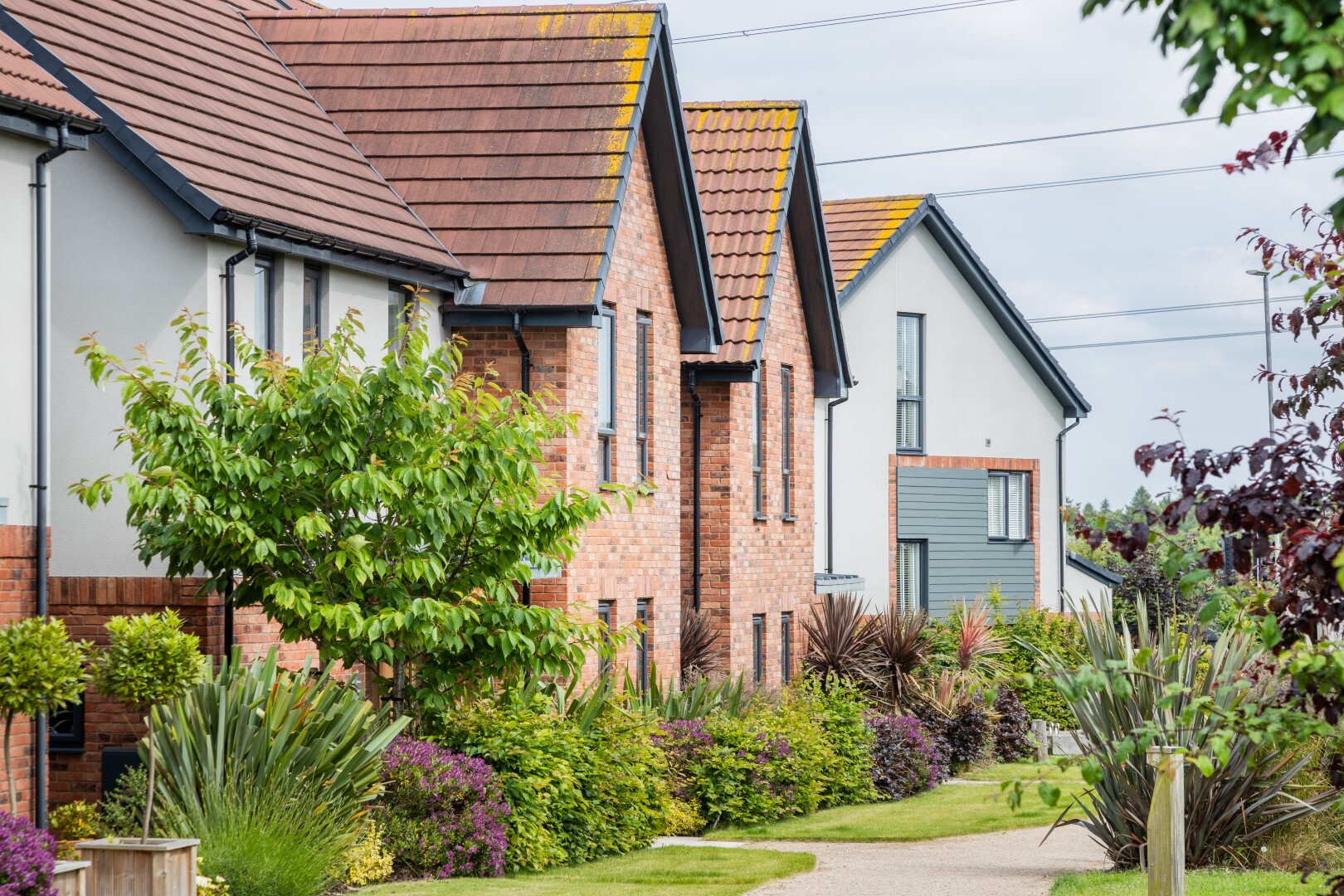 Rufford Pastures 17 Large