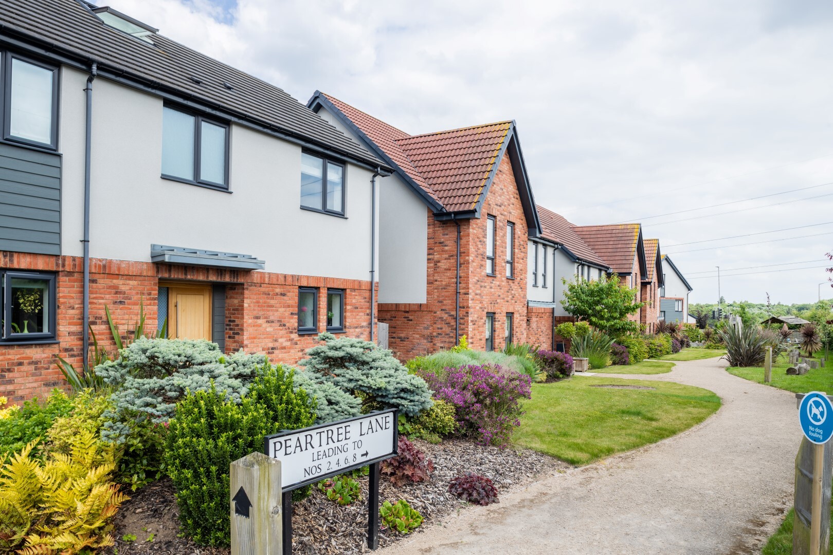 Rufford Pastures 4 Large