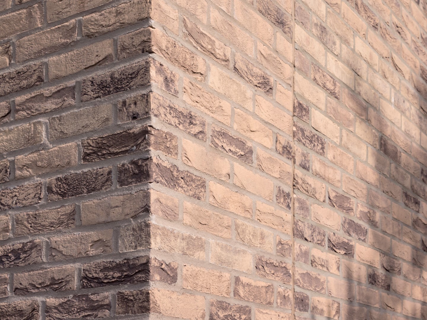 Shakespeare School - Glazed bricks