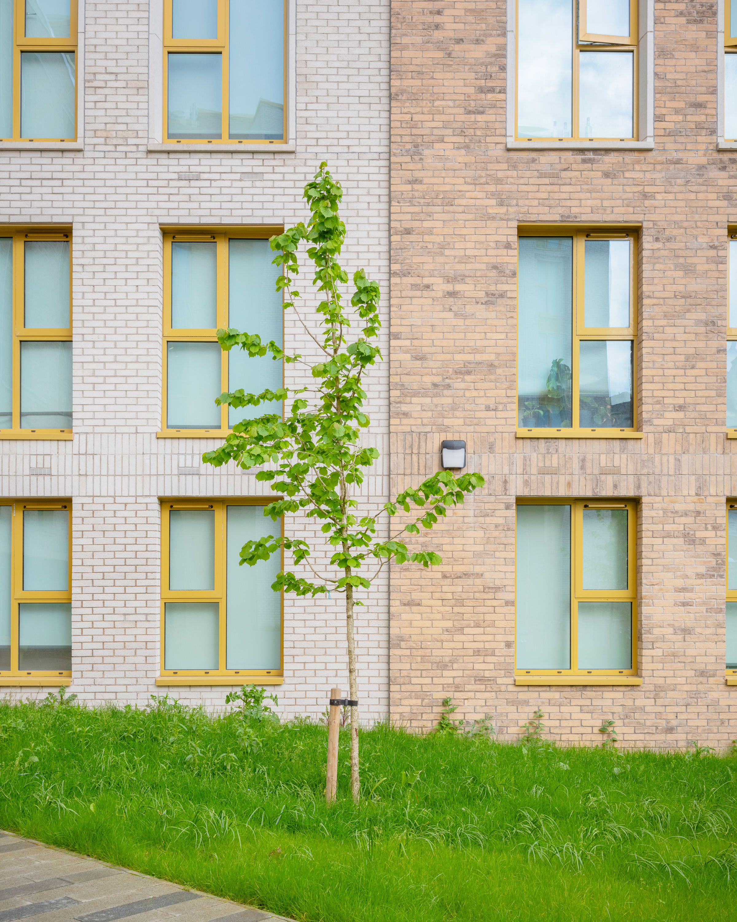 Silk Mill - Solus Range