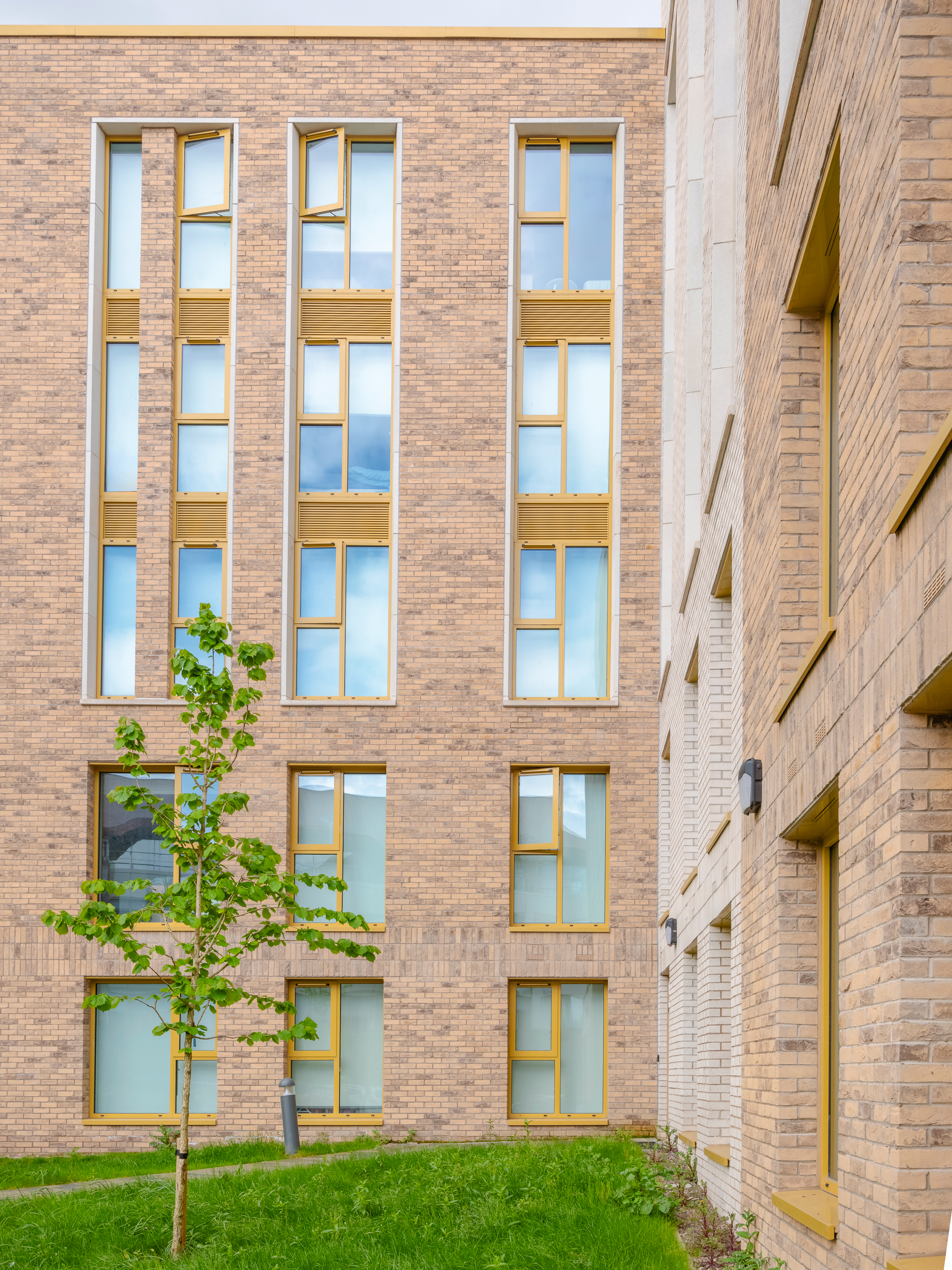 Silk Mill - Solus Range