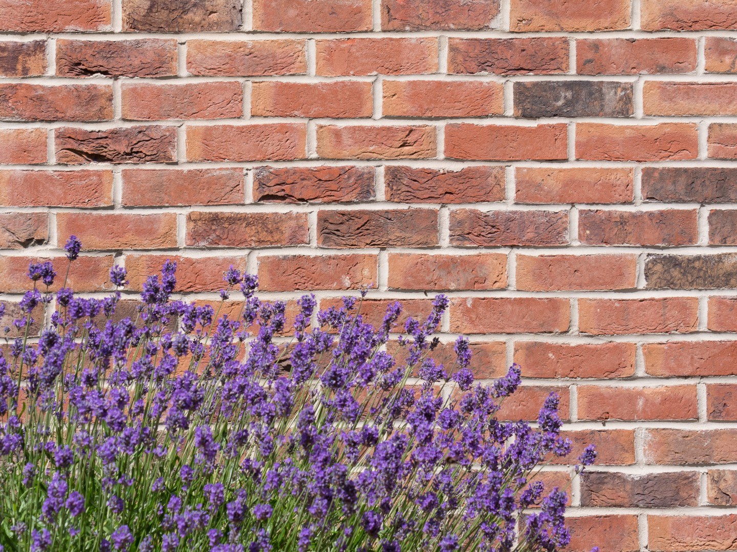 St Joseph Student Accommodation 22 Large