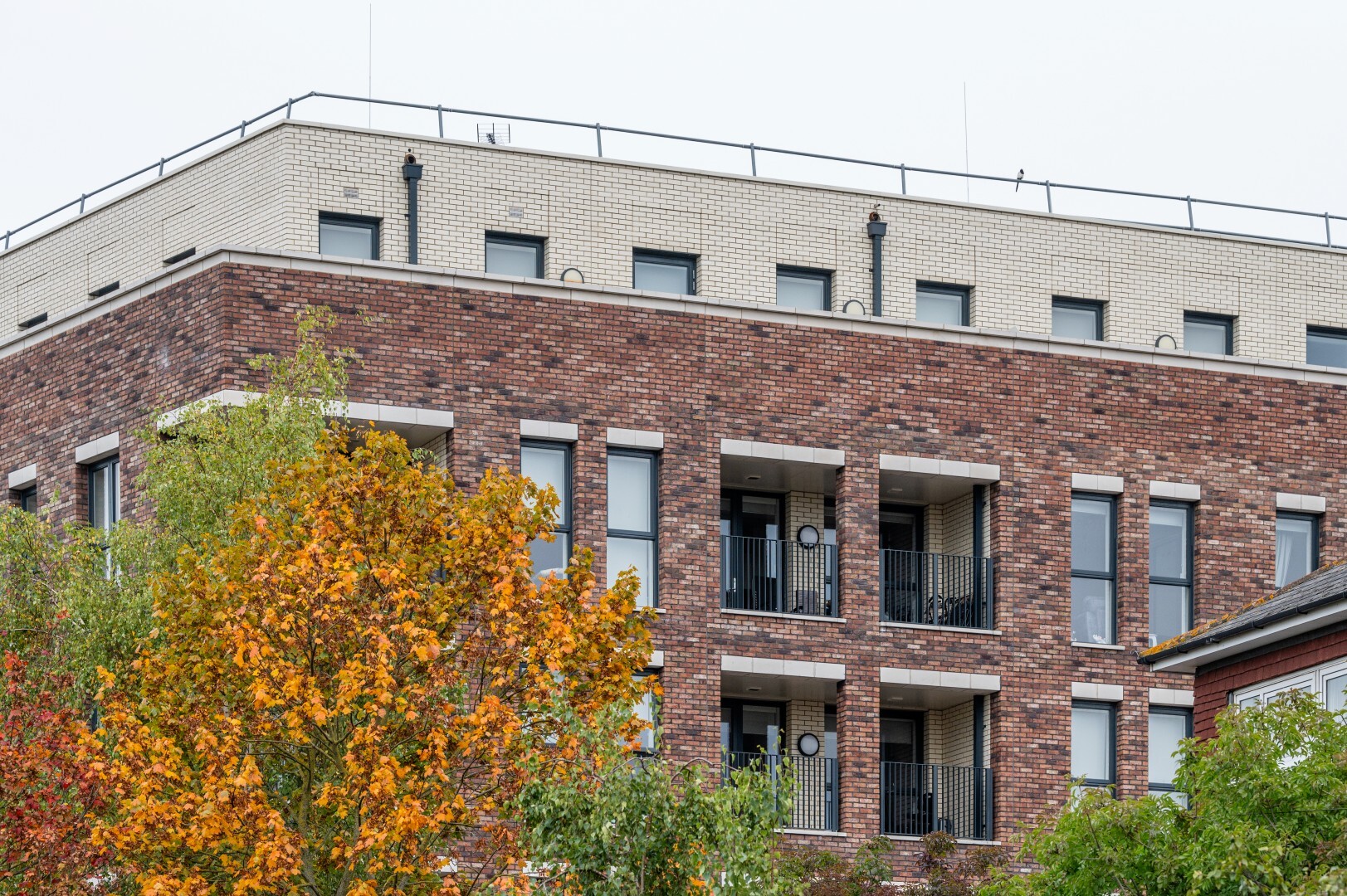 Taylor Maxwell, The Grange