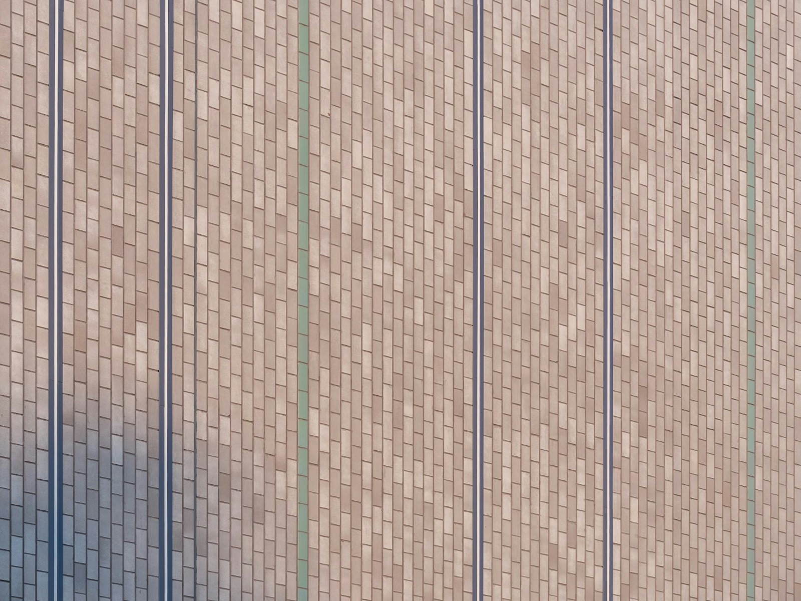 The Arc Cinema 7 Large