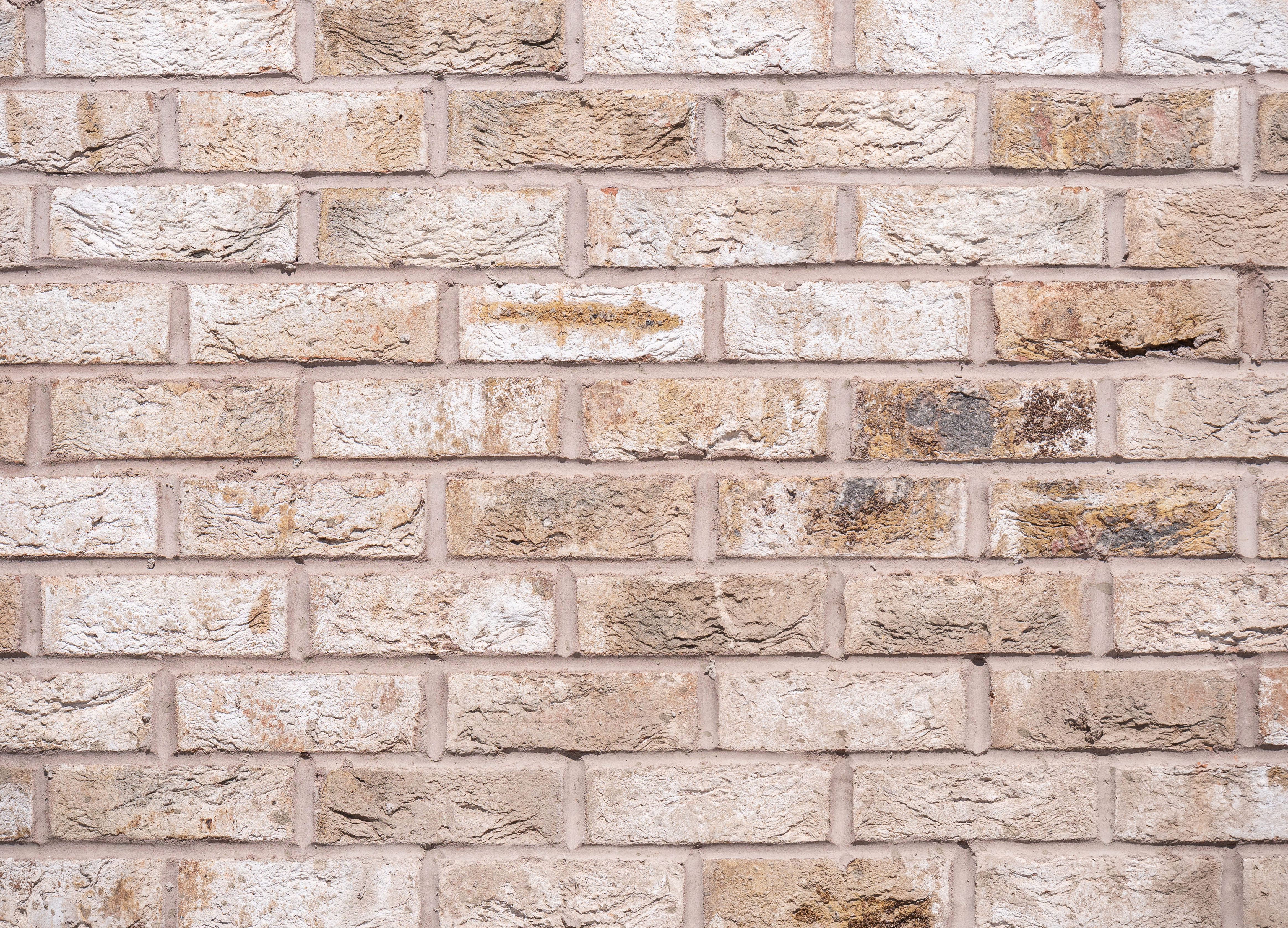 The Astley Manchester 29