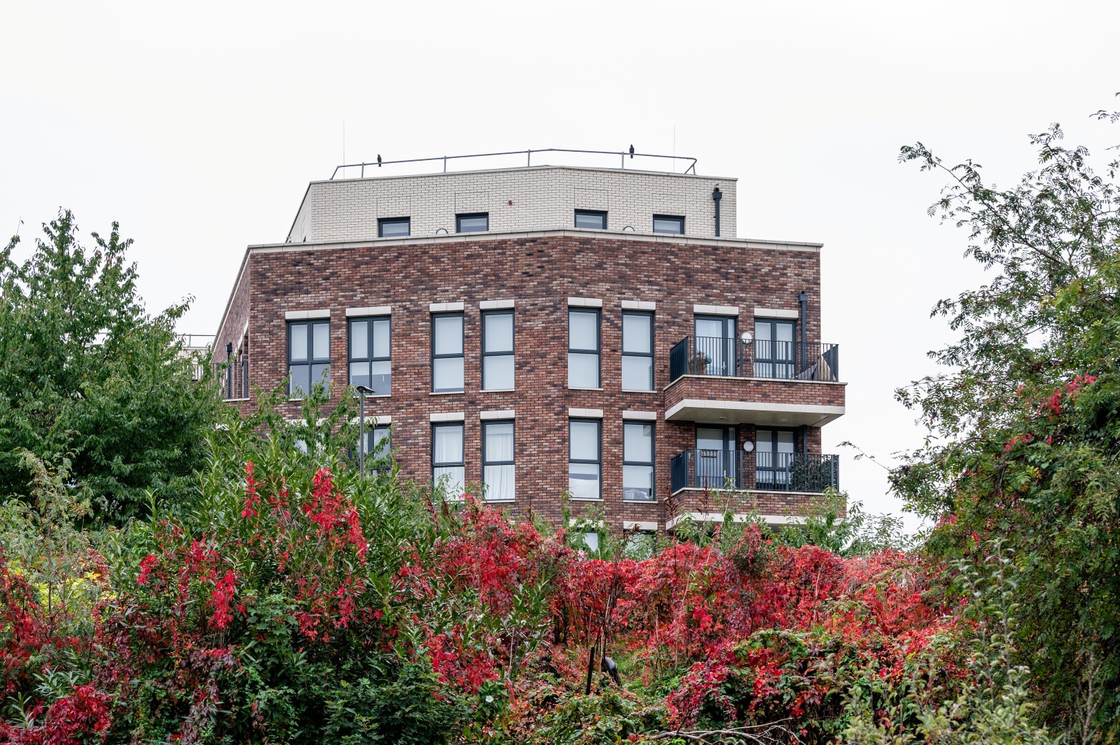 The Grange Project, Plaistow