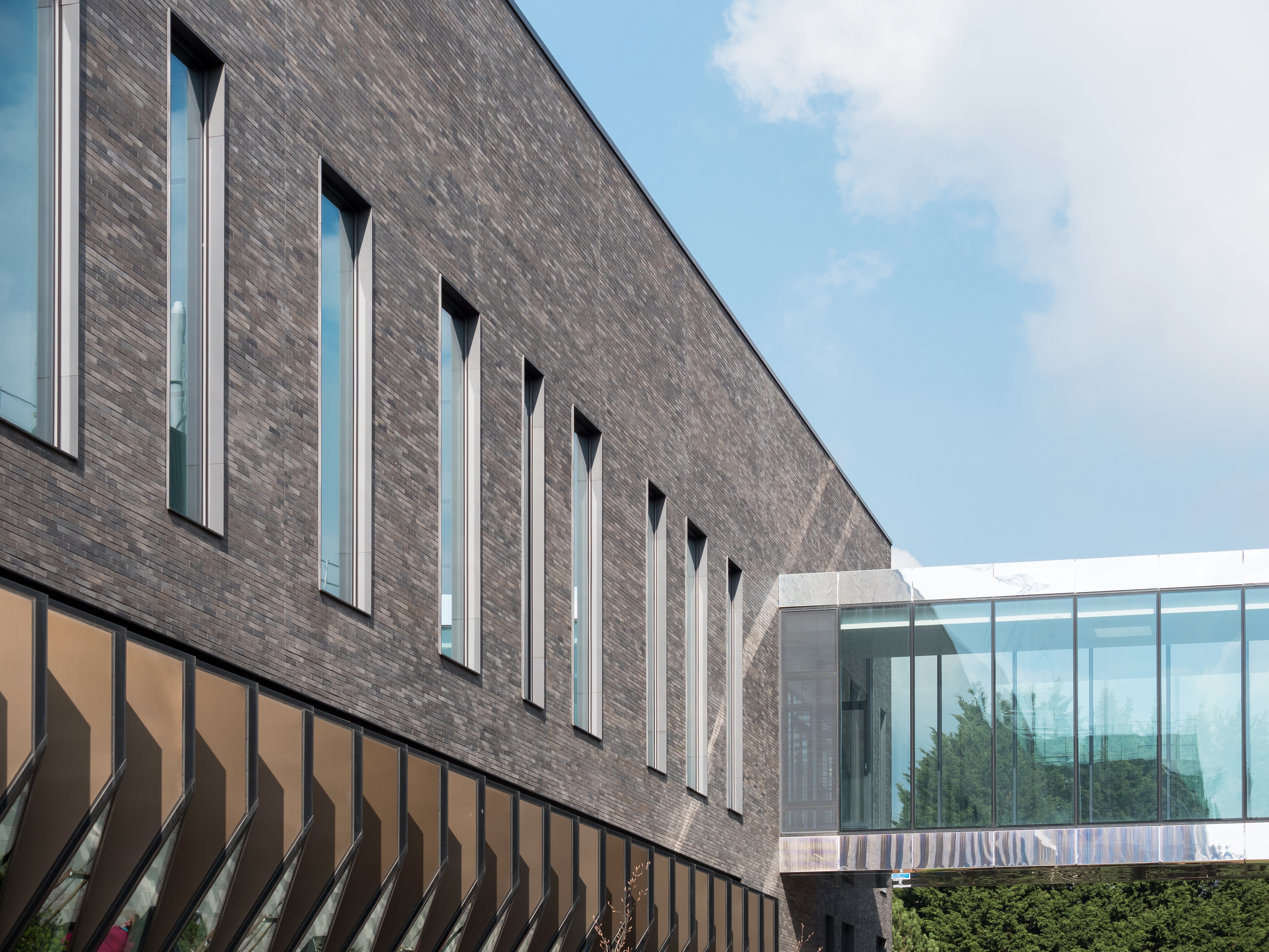 University of Birmingham 8