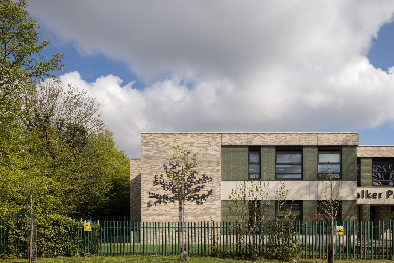 Walker Primary 002 Large