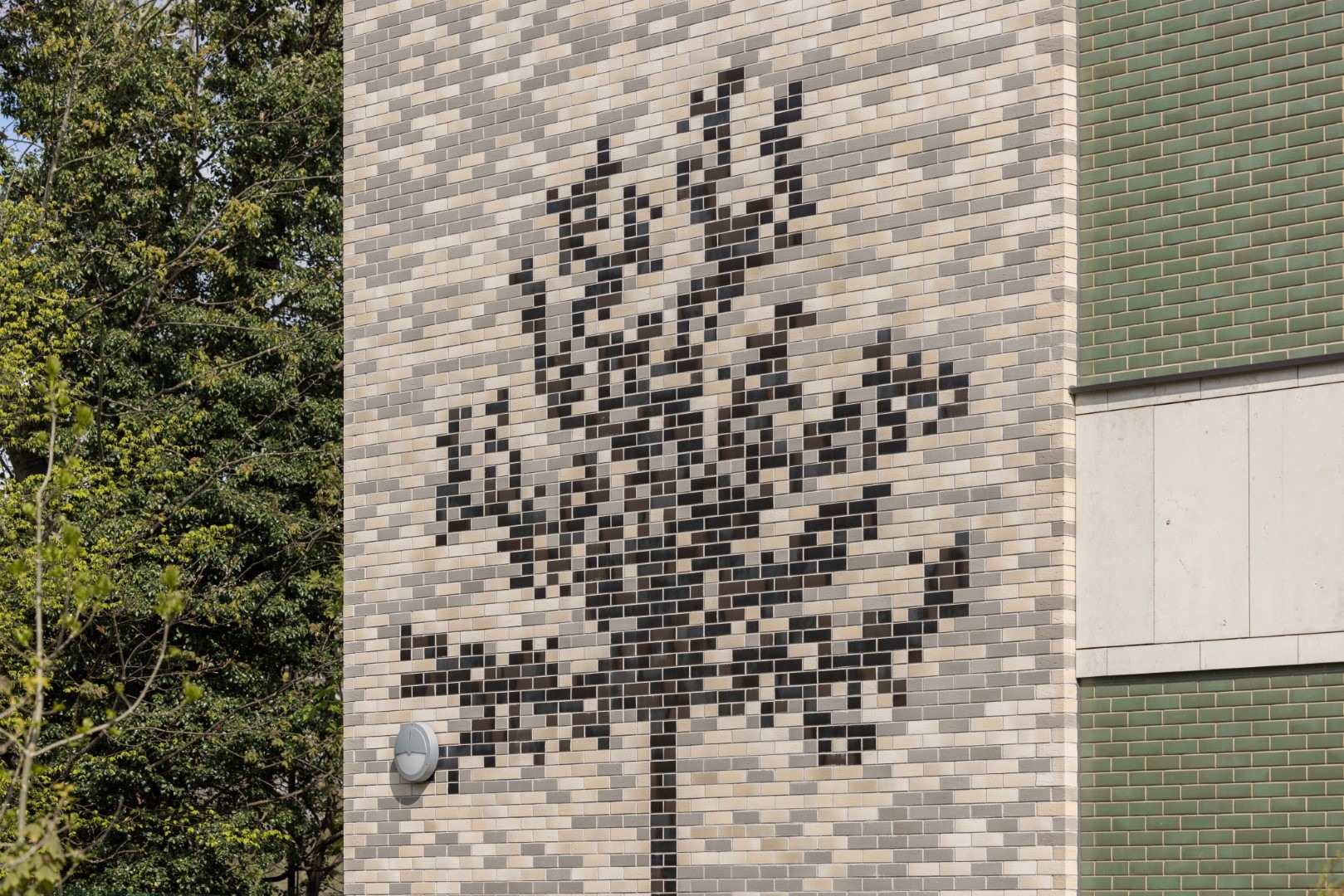 Walker Primary 014 Large