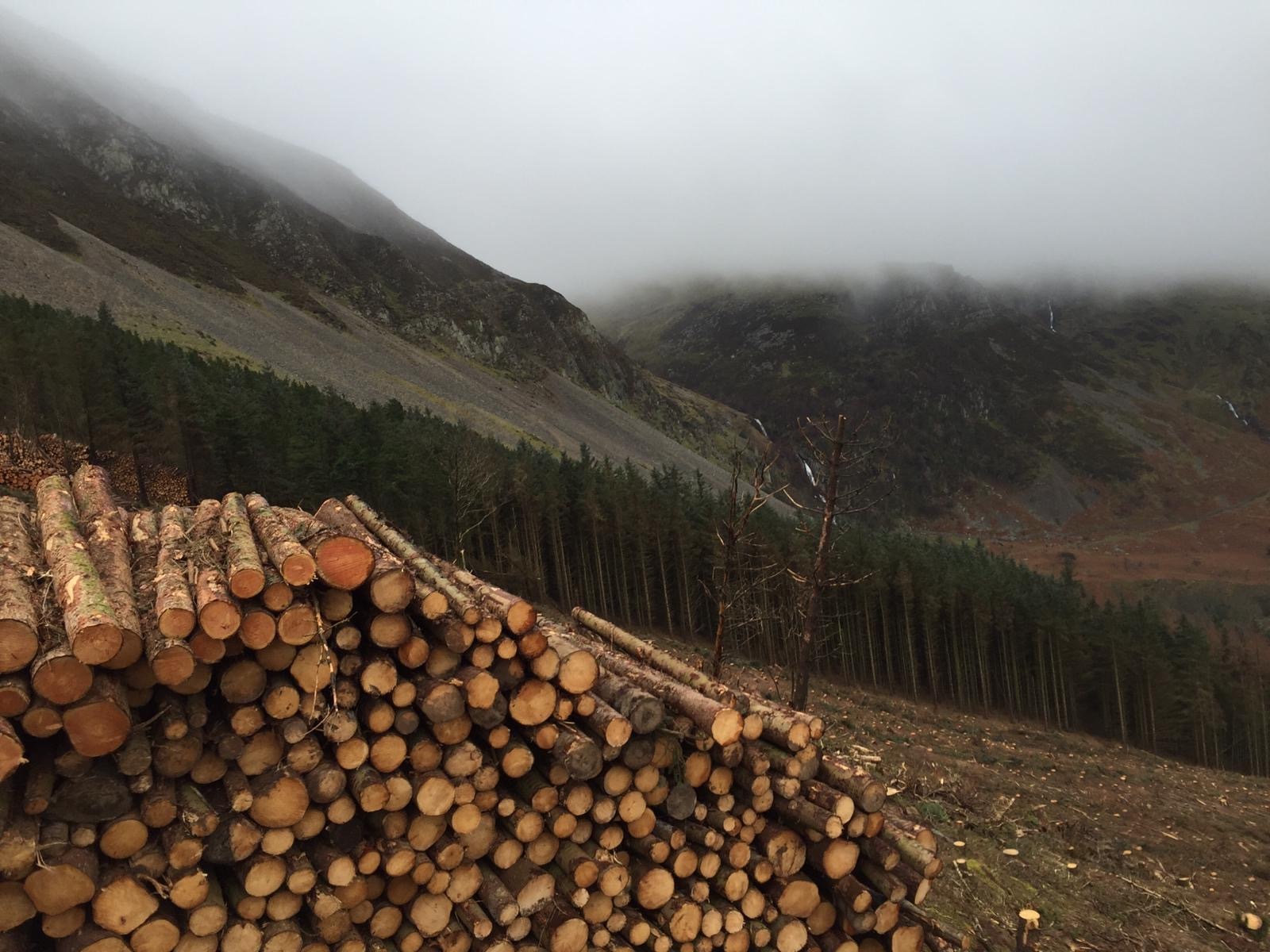 8323a6e6 40d1 43ba 81d4 081300c3c8bd