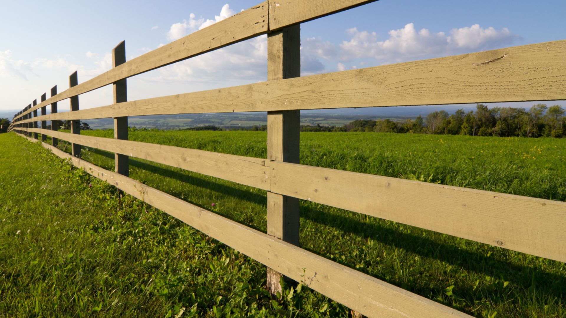 Fence
