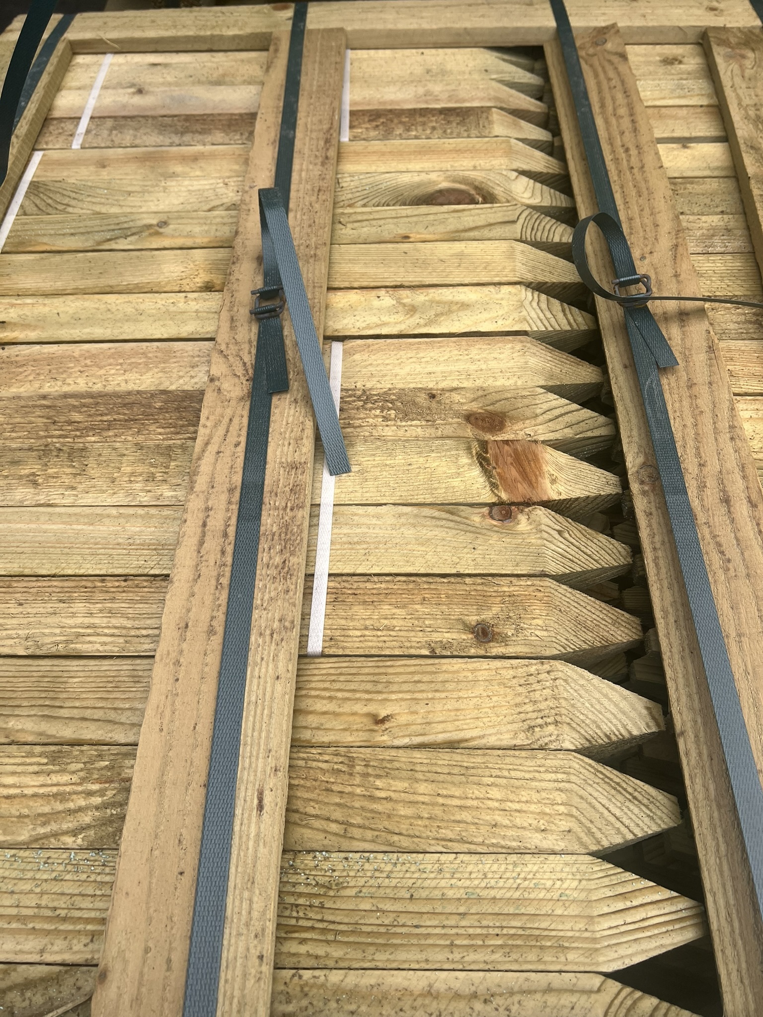 Four-way Pointed Green Pegs