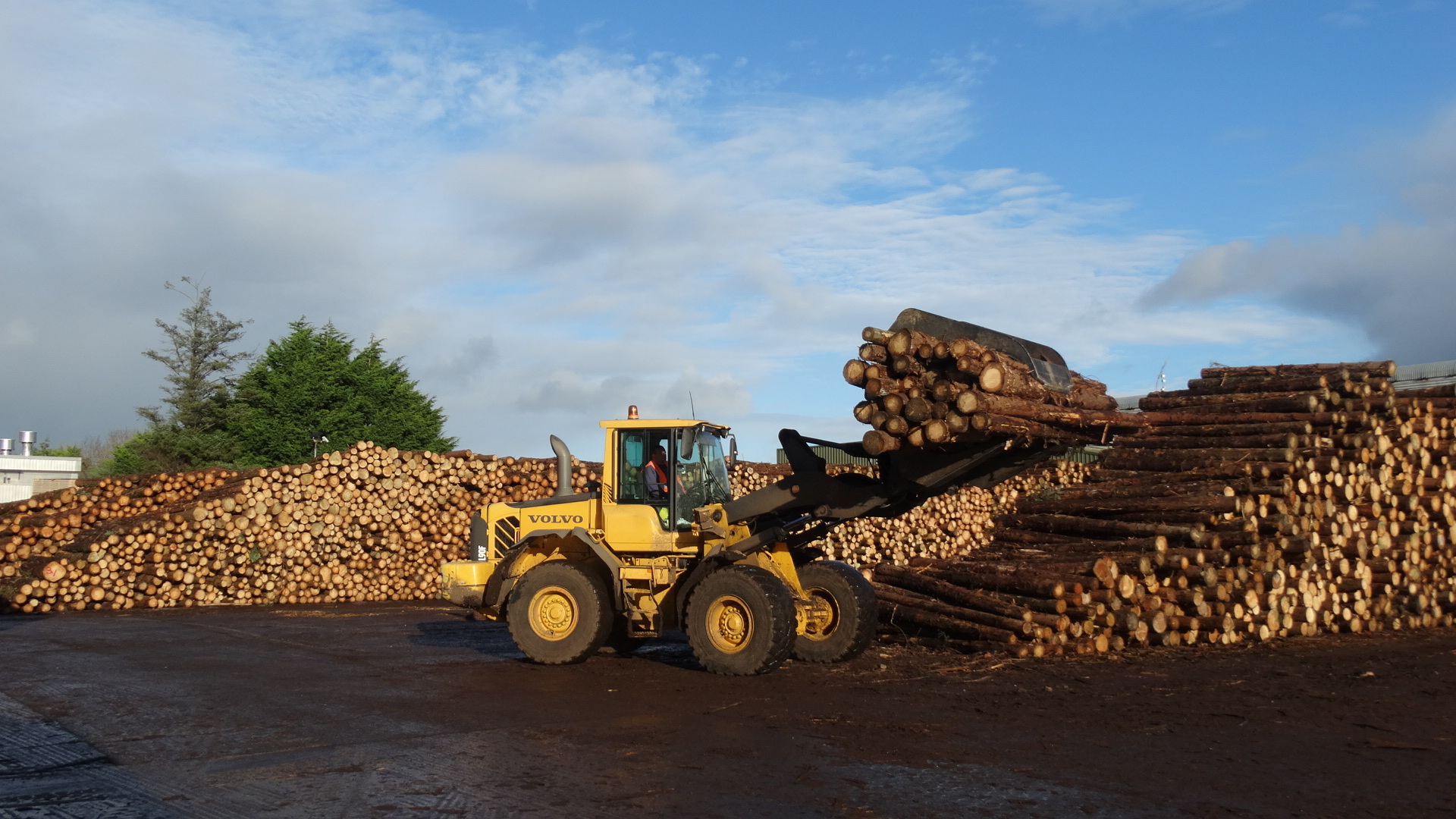Loading Logs Enniskeane