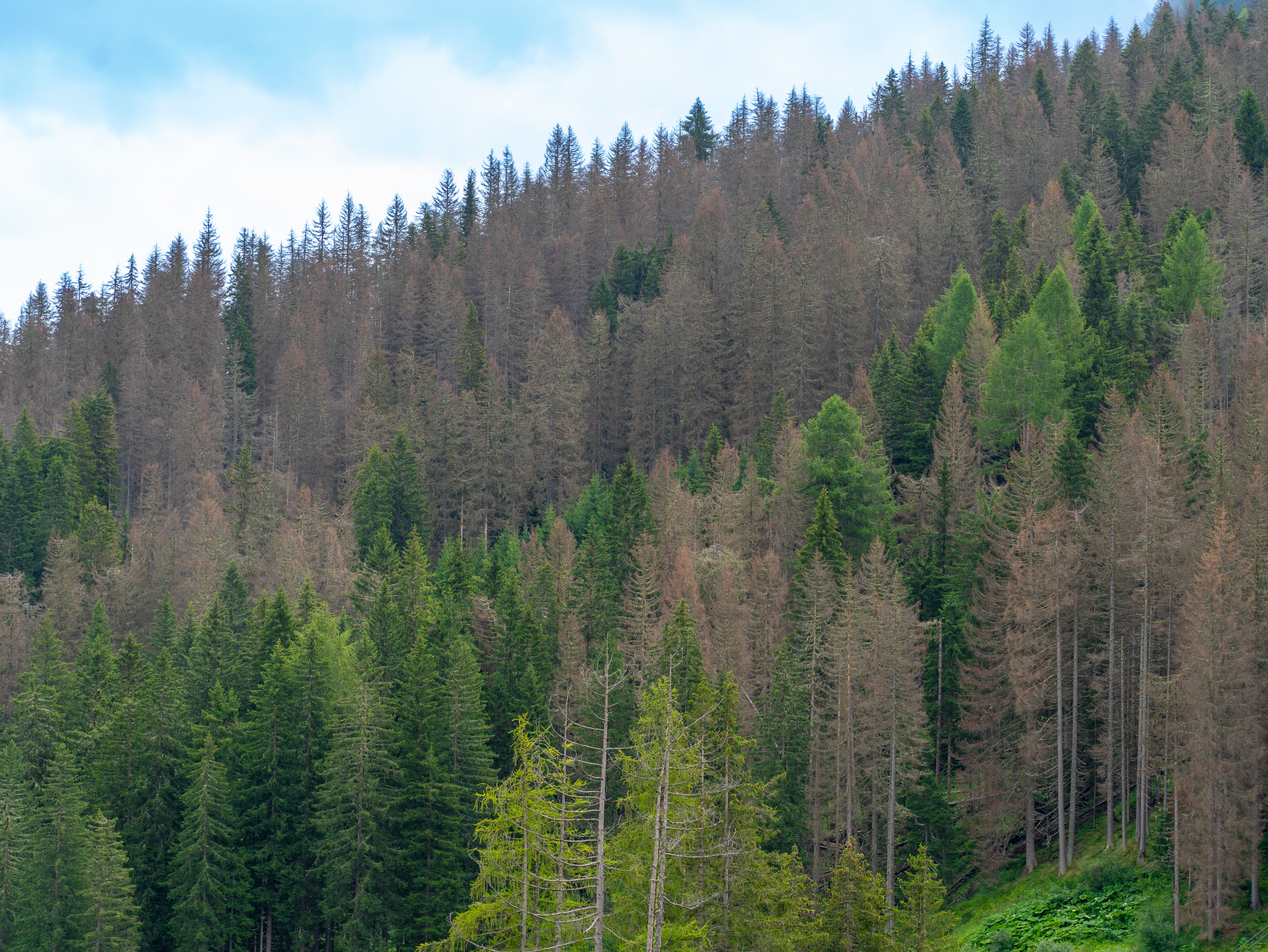 Adobe Stock 727029906