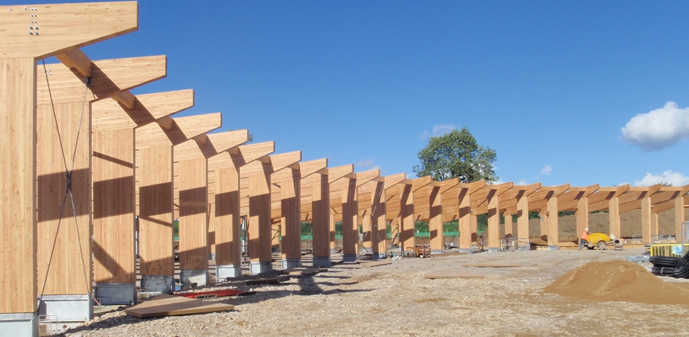 CLT Steve Colman Timber