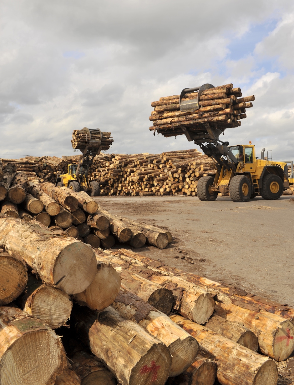 Sawmills and Suppliers | Taylor Maxwell Timber | Taylor Maxwell