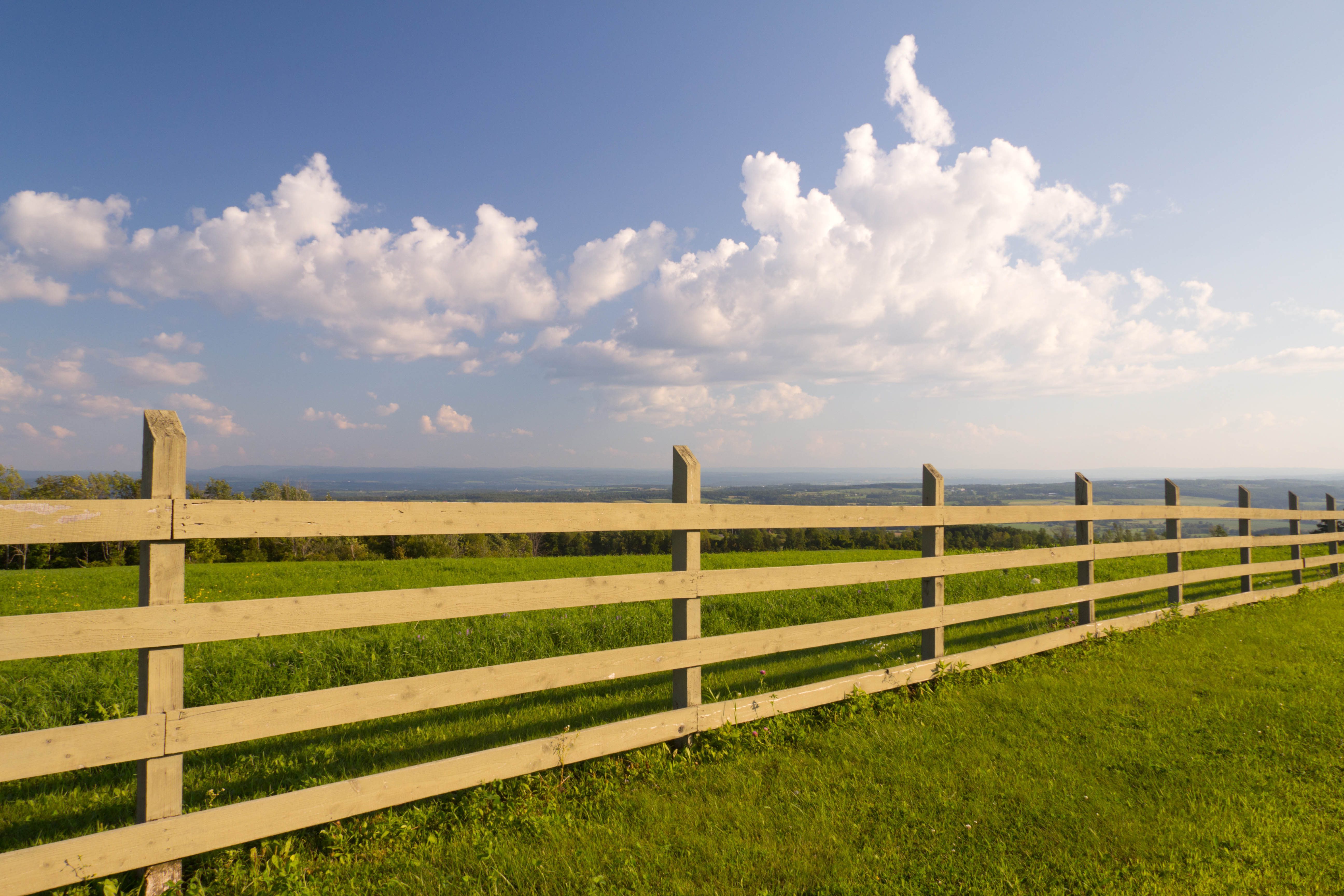 Post and Rail Fencing 2