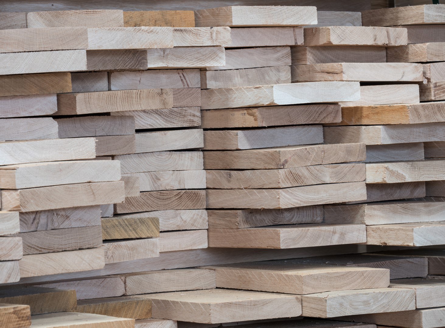 Timber Selection 3 Large