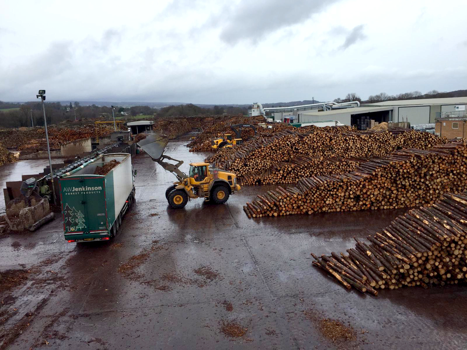 Timber Update 5 Hero