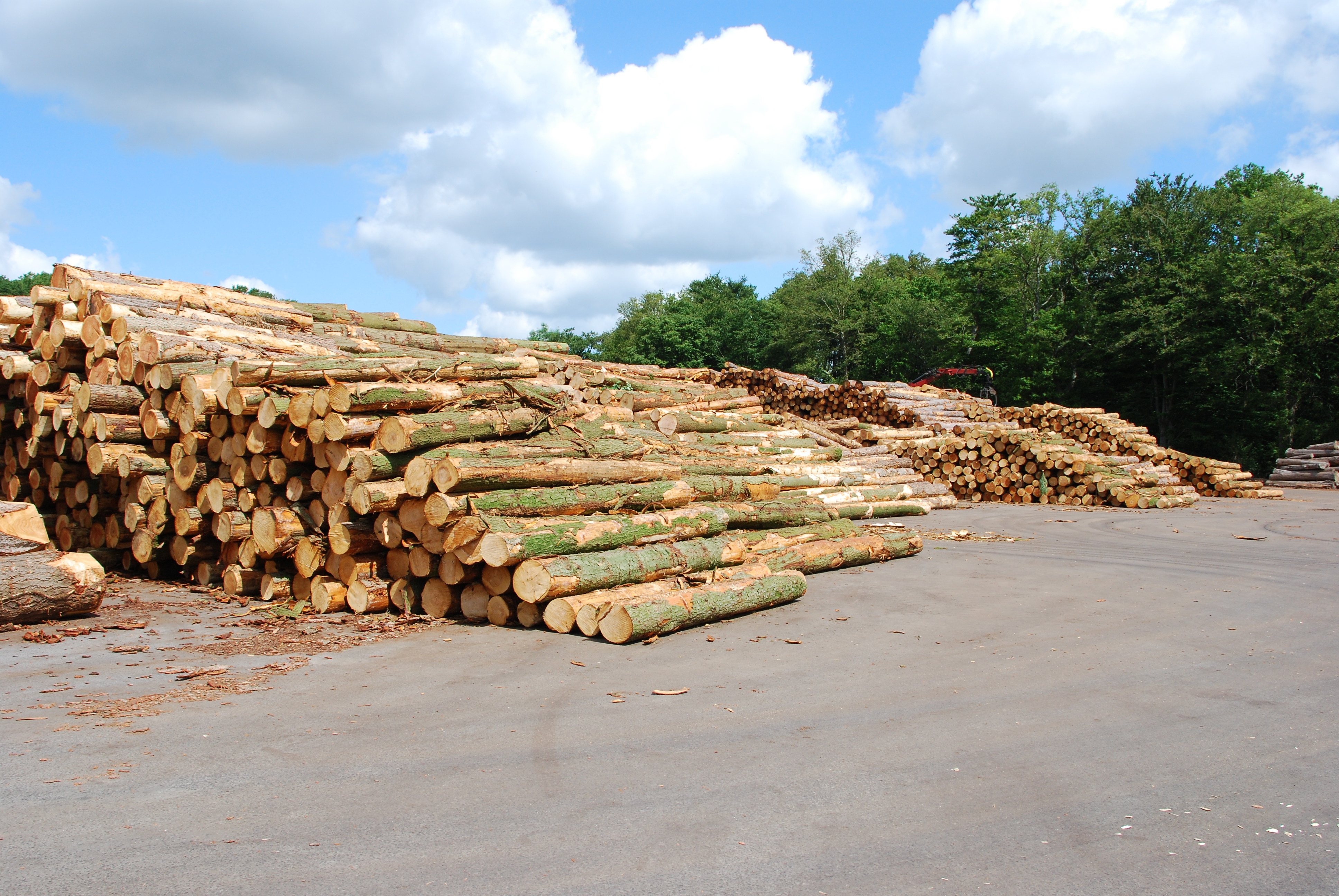 Construction Softwood